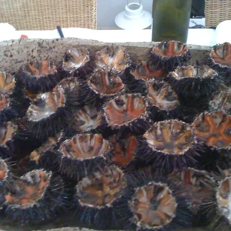 Les Pesquiers Hyères