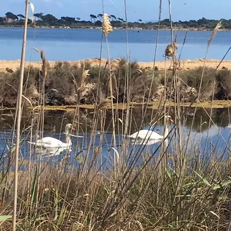Les Pesquiers Apartment