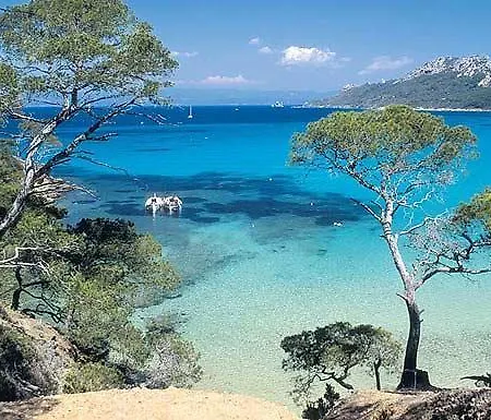 Lejlighed Les Pesquiers Hyères