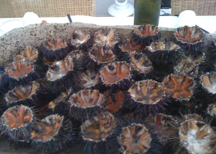 Les Pesquiers Ιέρ