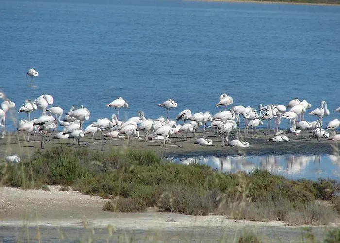 Appartement Les Pesquiers Hyères