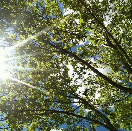 Διαμέρισμα Les Pesquiers