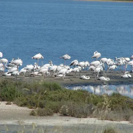 Appartamento Les Pesquiers Hyères