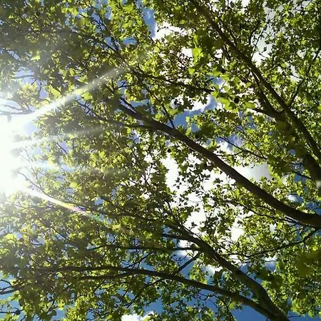 Appartamento Les Pesquiers