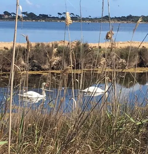 Les Pesquiers Lejlighed